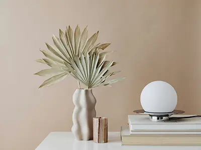 Accesorios y Decoración